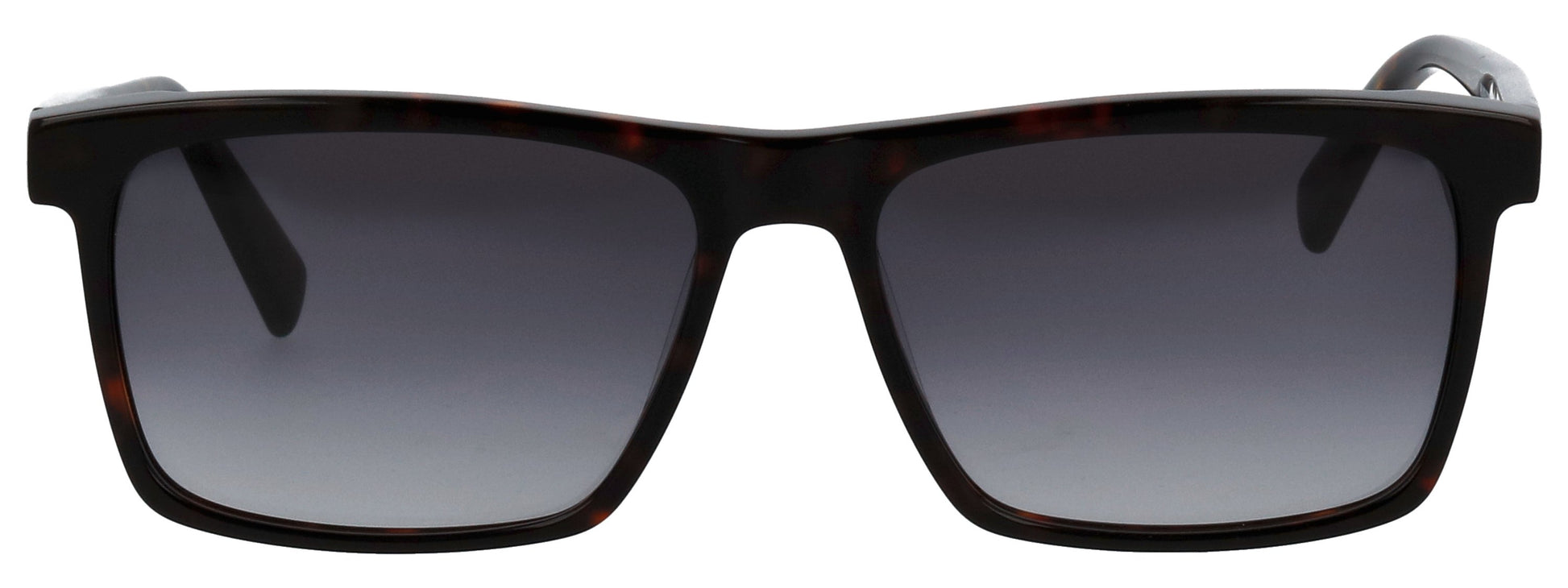 HAVANNA/SEAKELP_56X15X145