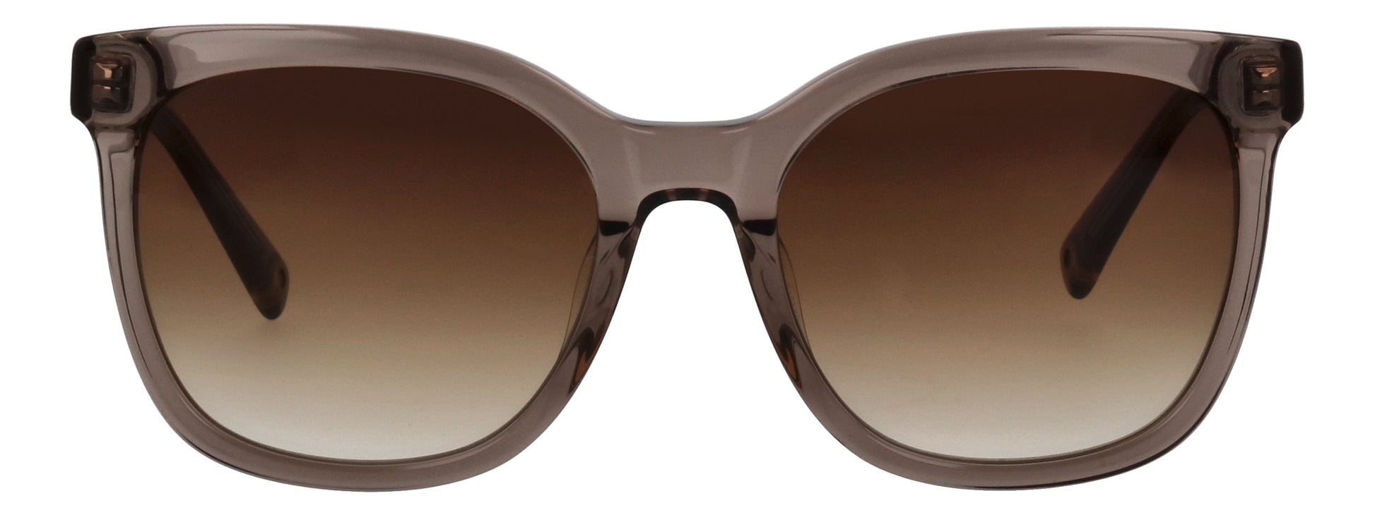 LASSIGESTAUPE_54X19X140