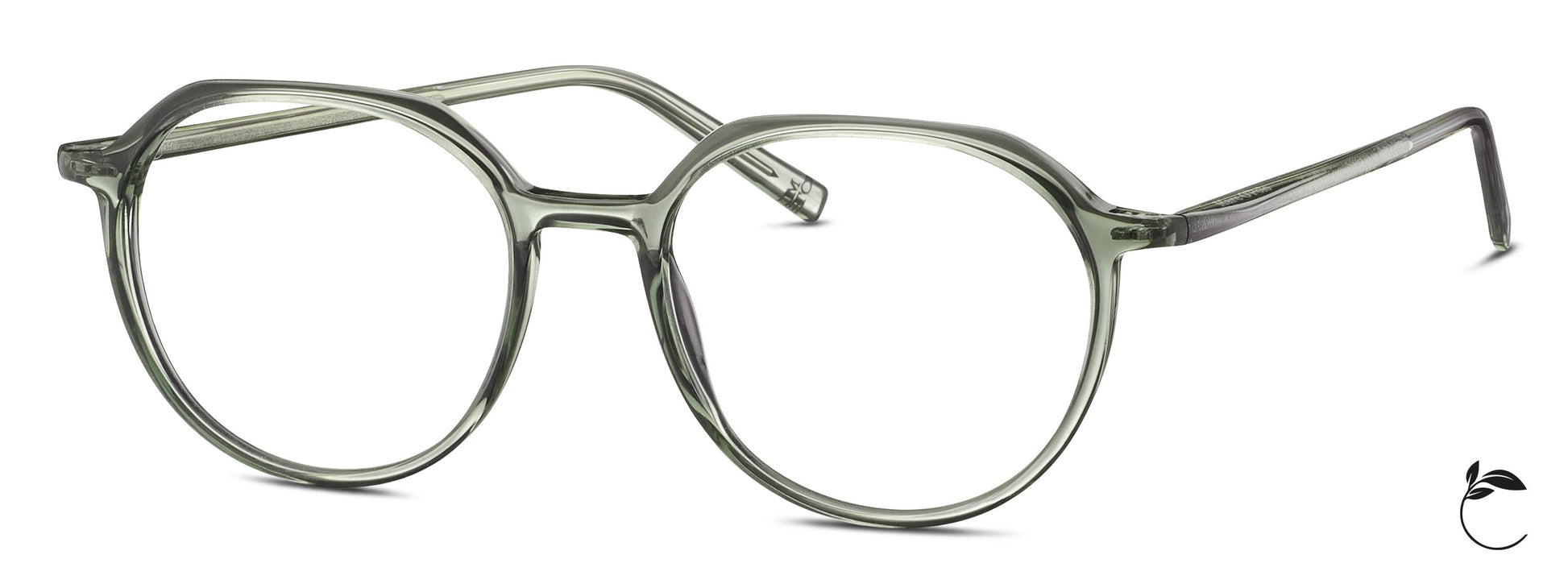 OLIVTRANSPARENT_51X17X140