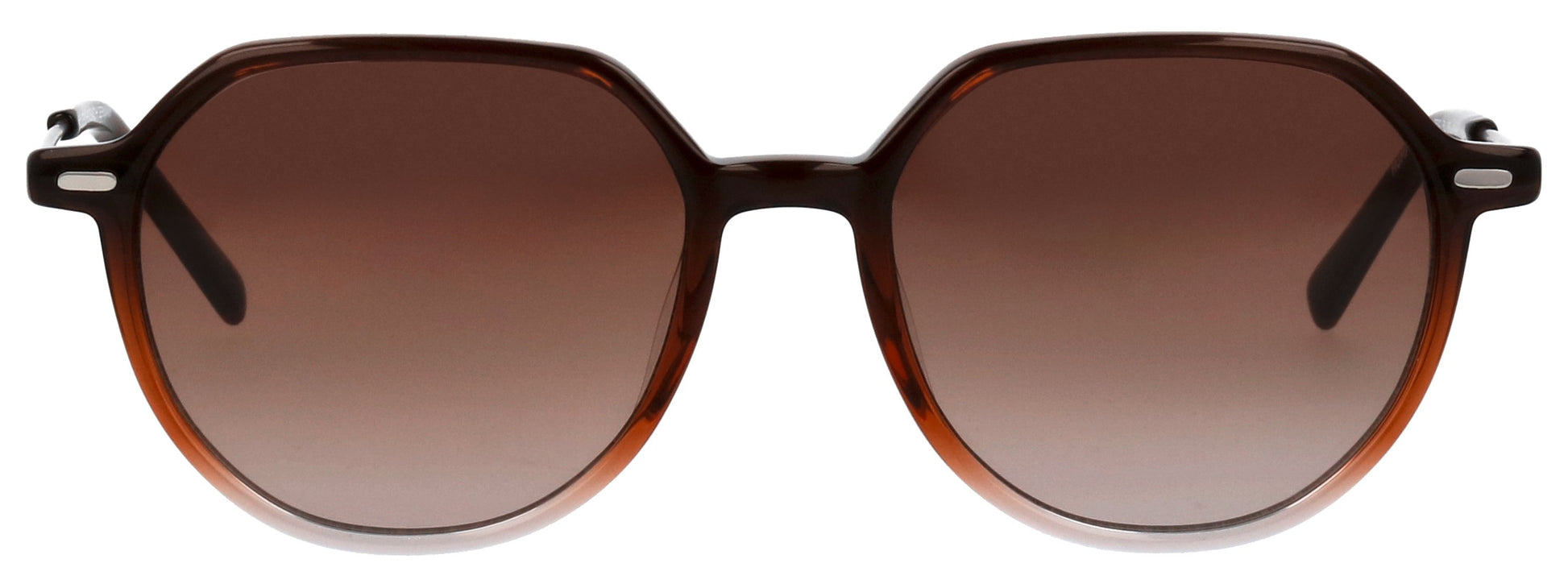 SEPIAVERLAUF_52X17X140