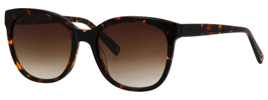 WARMENDESHONIG-HAVANNA_53X18X140